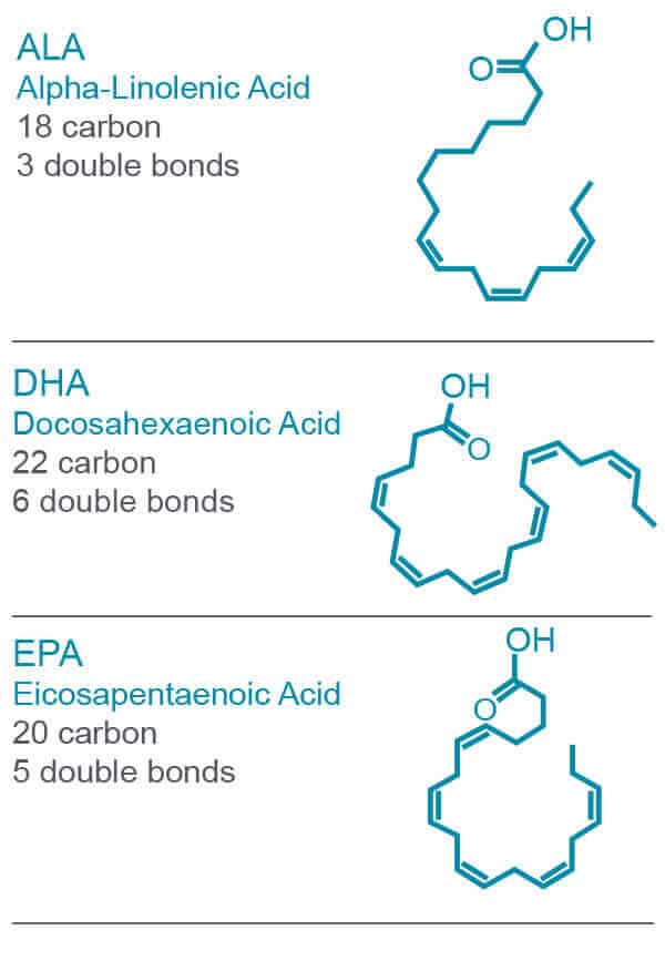 fish oil fullscript supplements