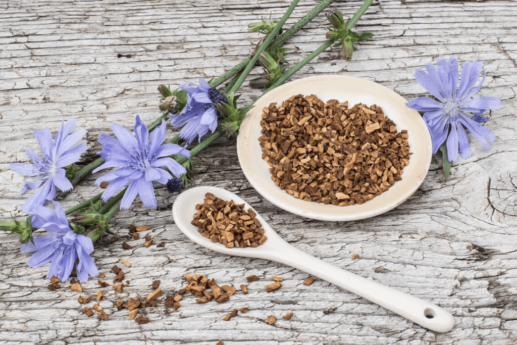 Chicory flowers and dried roots laid over a wooden backdrop