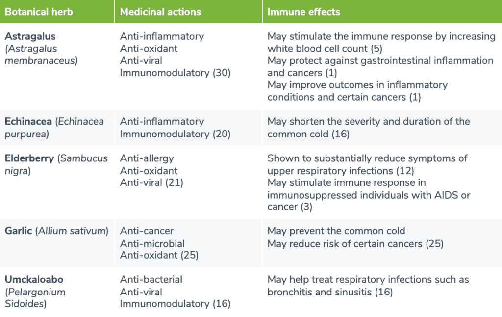 table showing all botanical herbs that help the immune system