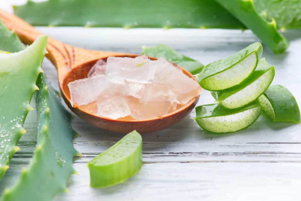 Aloe vera plant and aloe pieces on a white table.