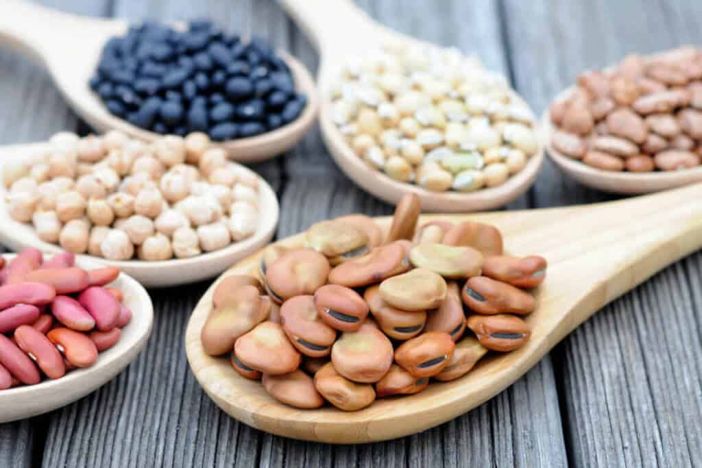 variety of nuts and seeds in wooden spoons