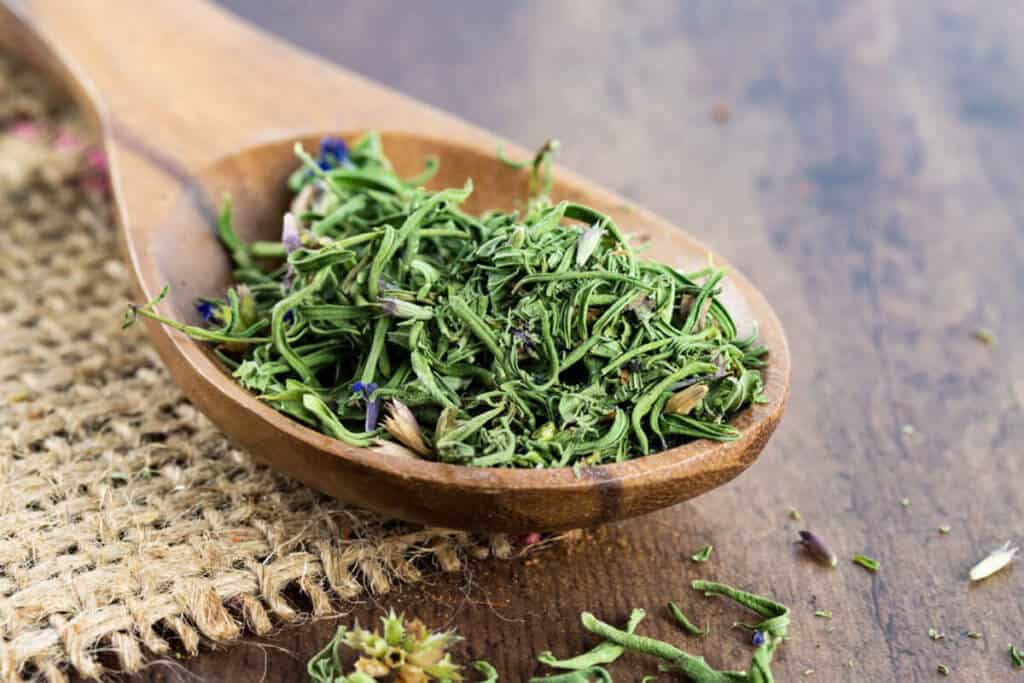 hyssop in plant form on a wooden spoon
