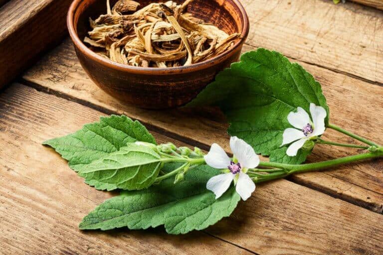 a bowl containing various dried healing herbs for gut healing