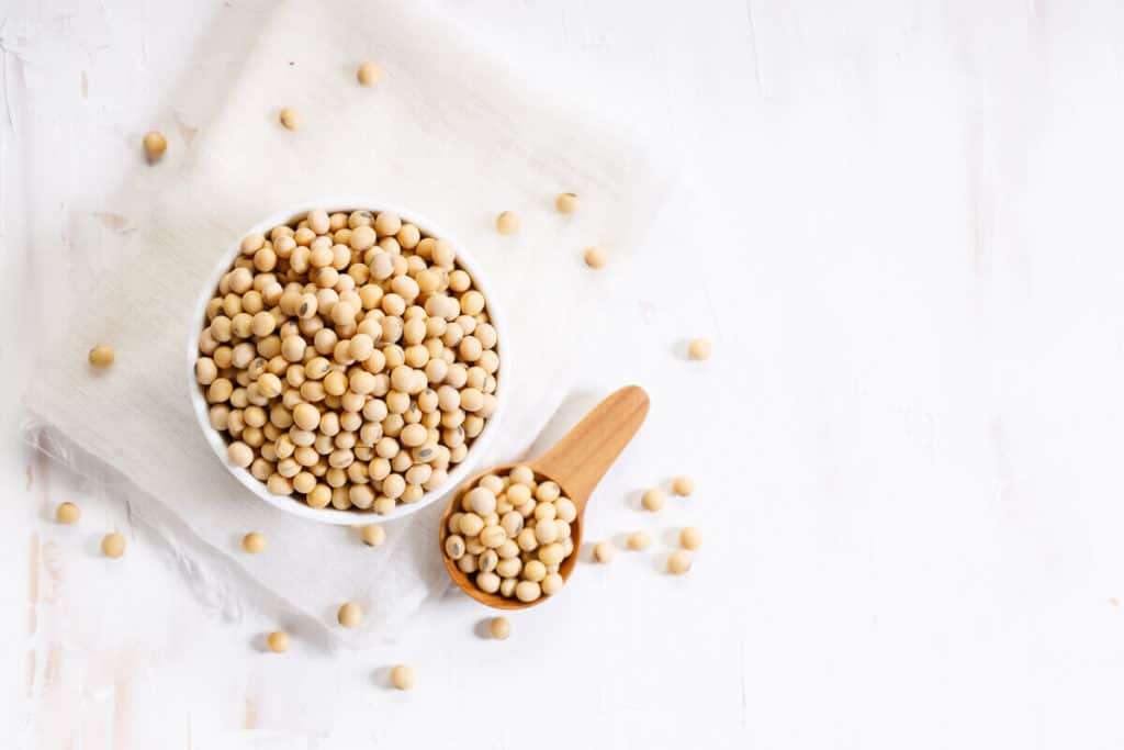 Overhead view of a bowl and spoonful of soy beans.