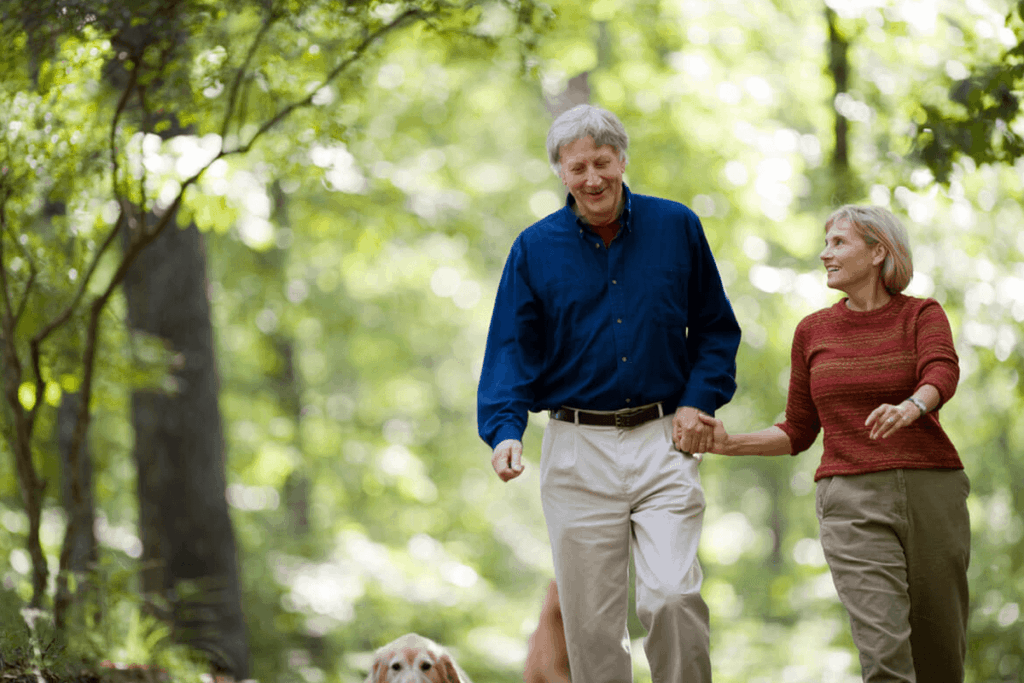 Image of people walking and laughing in a forest