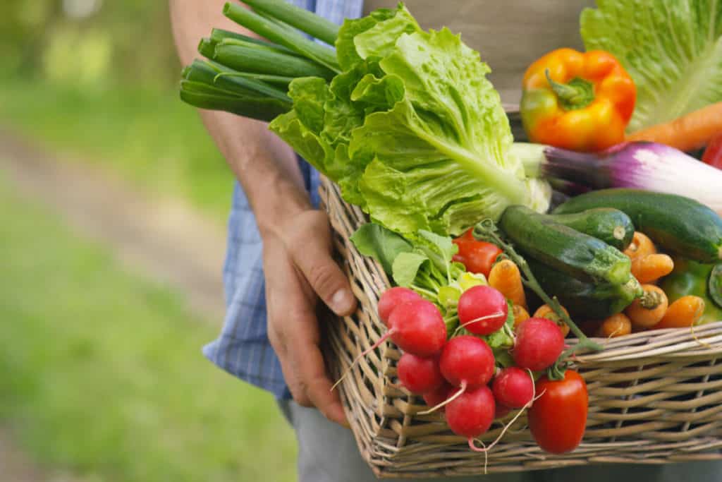 Image of a vegetable basket