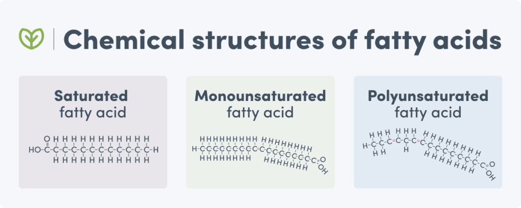 Fatty acids chemical structure