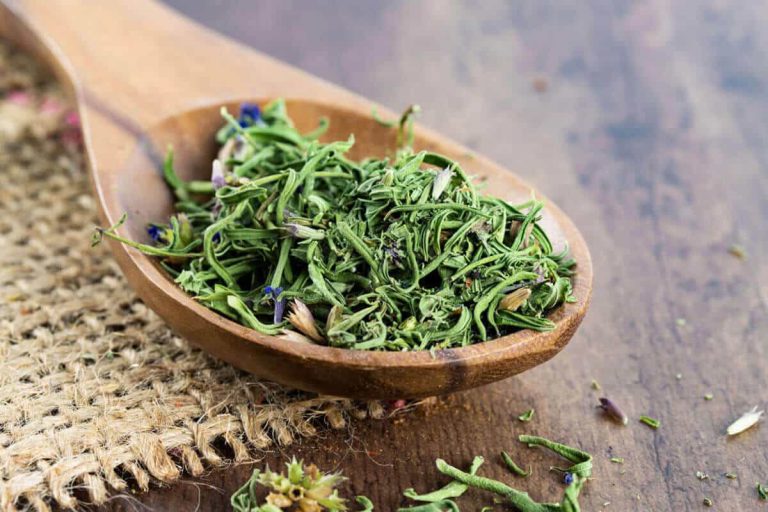 alternative ingredients for immune and respiratory support blog post