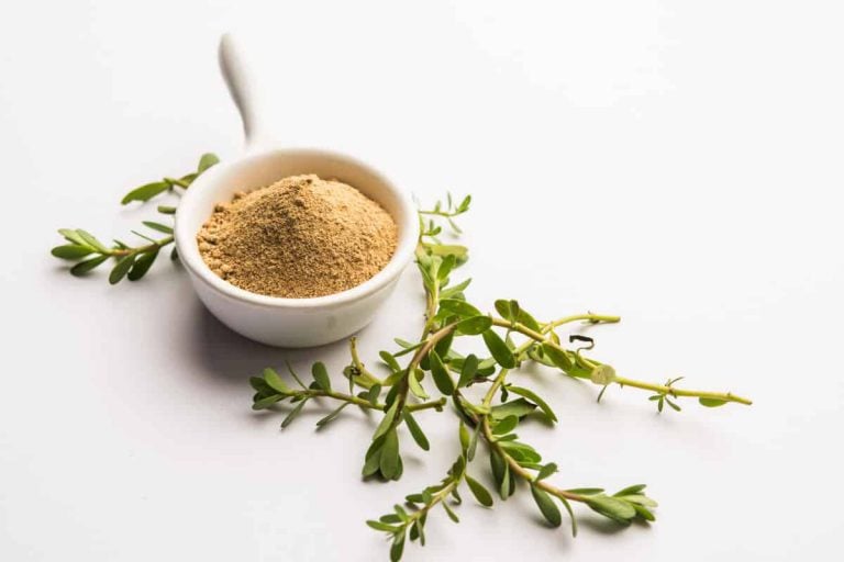 4 key bacopa monnieri benefits blog post