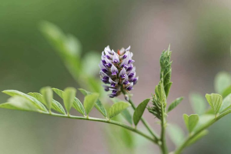 how to deal with workplace burnout blog post