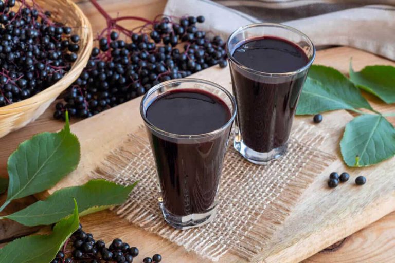 why you need elderberry this cold and flu season blog post