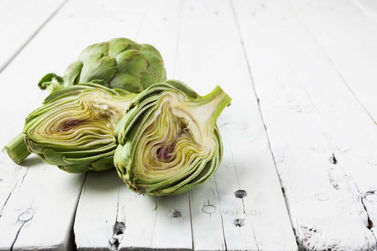 fatty liver support protocol: a resource for practitioners blog post