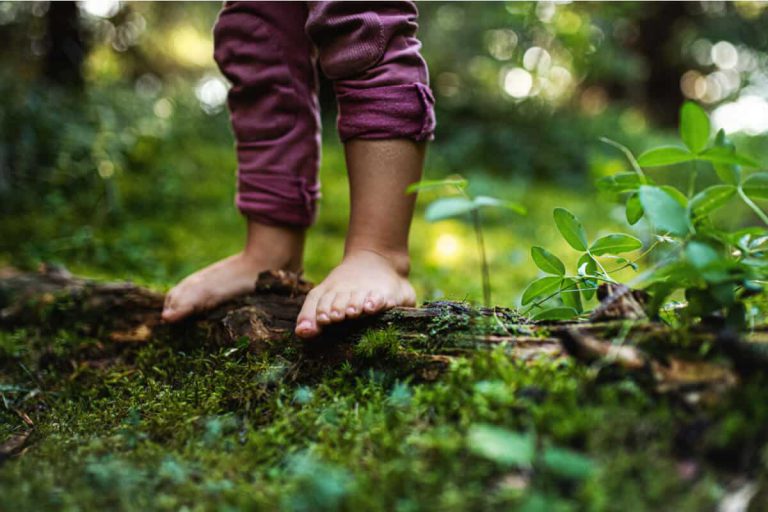 forest bathing and mental health: it’s in our nature blog post
