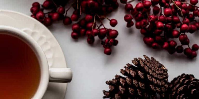 how to help your patients avoid the december health slump blog post