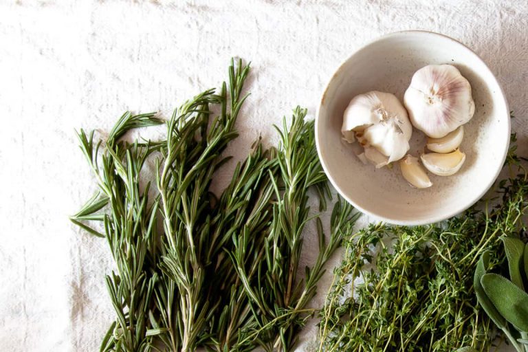 an introduction to natural antimicrobials blog post