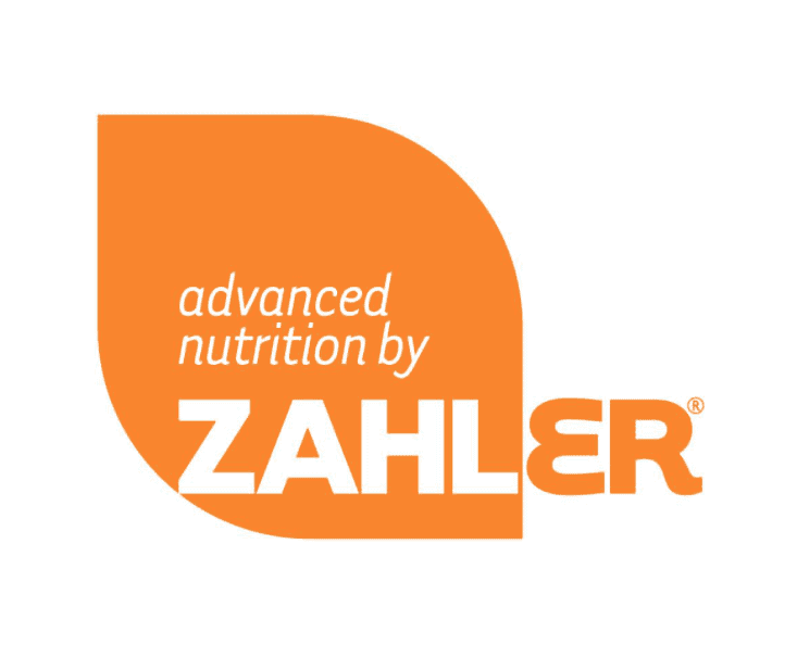 Peri Gutman, CNC Avatar