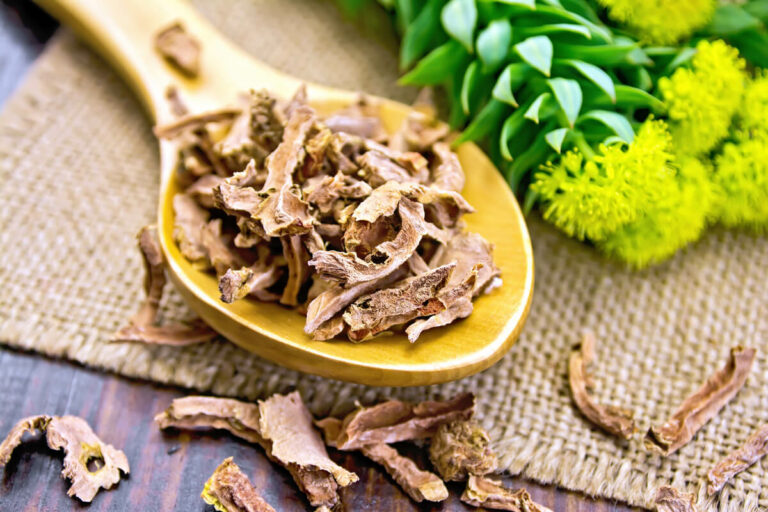 what is rhodiola rosea?: anti-stress benefits and more blog post