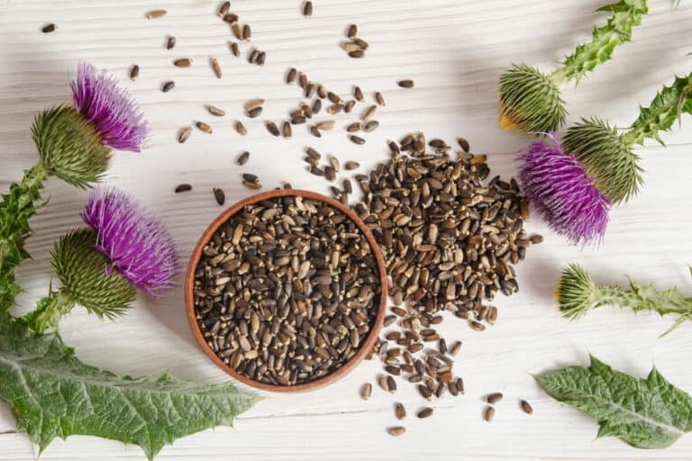 best milk thistle supplements for liver health blog post