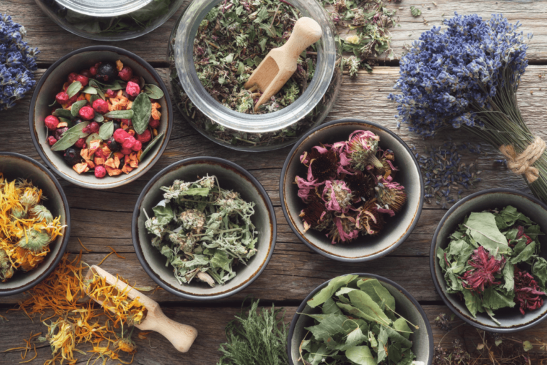 navigating the complex world of herb-drug interactions: mechanistic and clinical considerations blog post